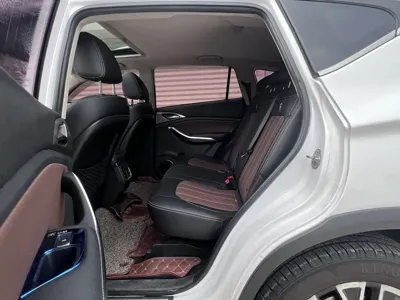 BYD New Energy