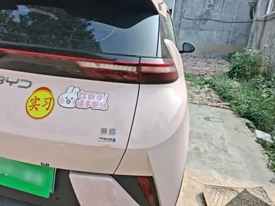 BYD Seagull
