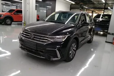 Volkswagen Tiguan L New Energy