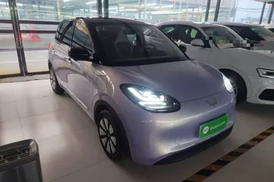 Wuling Bingo
