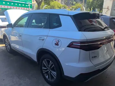 BYD Pro