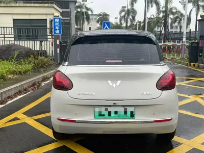 Wuling Bingo