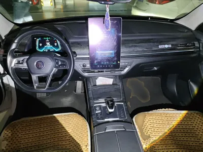 BYD Qin Pro New Energy