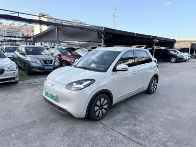 Wuling Bingo