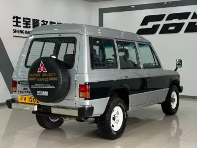 Mitsubishi Pajero (Import)