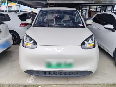 Wuling Bingo