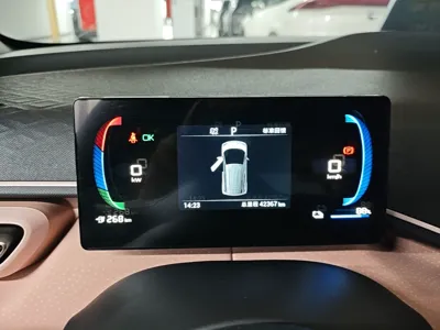 BYD Seagull