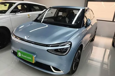 Dongfeng NAMMI 01