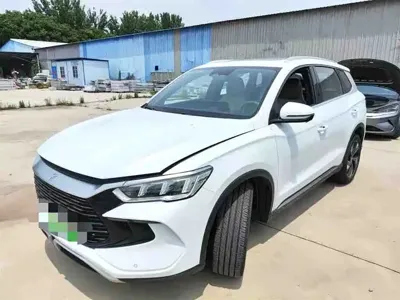 BYD Pro New Energy