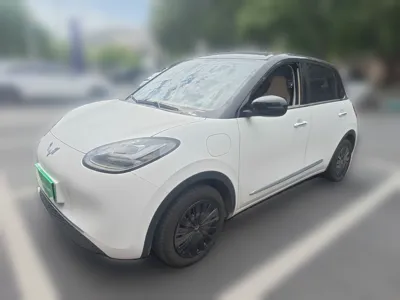 Wuling Bingo