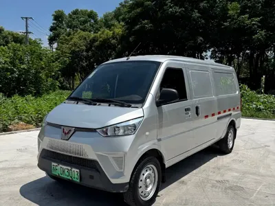 Wuling Wuling EV50