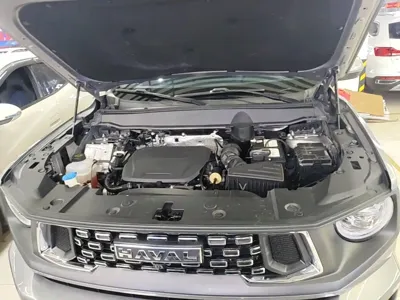 Haval 哈弗大狗 PLUS