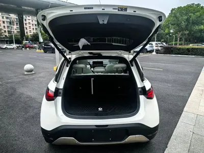 Smart Smart #1