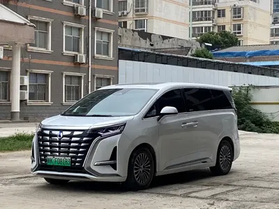 Denza Denza D9