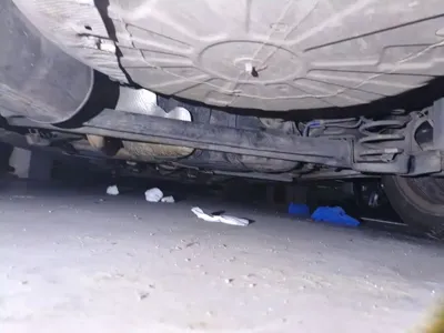Fiat Ottimo