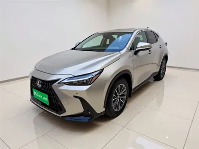 Lexus NX New Energy