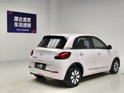 Wuling Bingo
