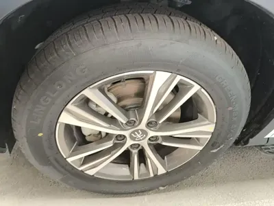 BYD Pro