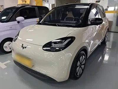 Wuling Bingo
