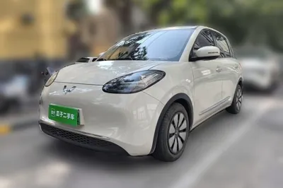 Wuling Bingo