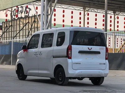 Wuling Zhiguang