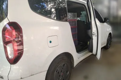 Wuling Hongguang New Energy