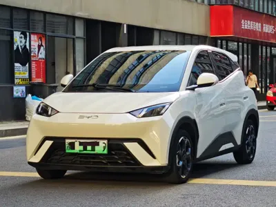 BYD Seagull