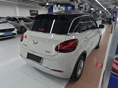 Wuling Bingo