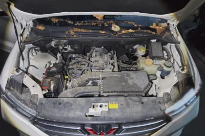 Wuling Hongguang