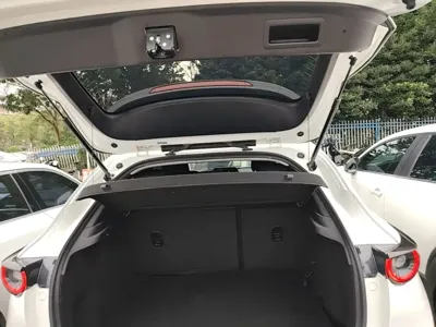 Mazda CX-30 EV