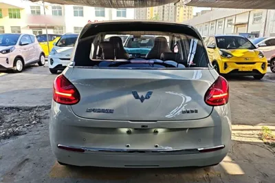 Wuling Bingo