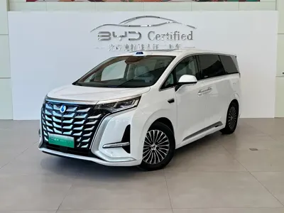 Denza Denza D9