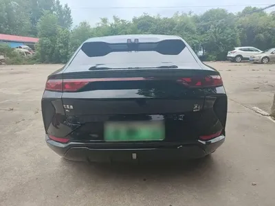 BYD L EV