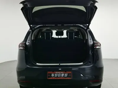 BYD Tang New Energy