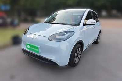 Wuling Bingo