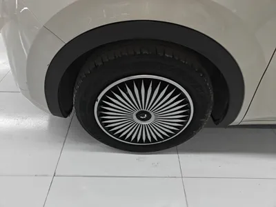 Wuling Bingo