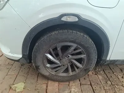 NETA Neta V