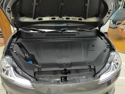 NETA Neta V