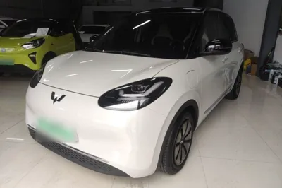 Wuling Bingo