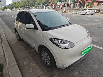 Wuling Bingo