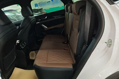 BYD Tang New Energy