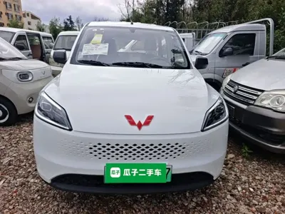 Wuling Hongguang EV