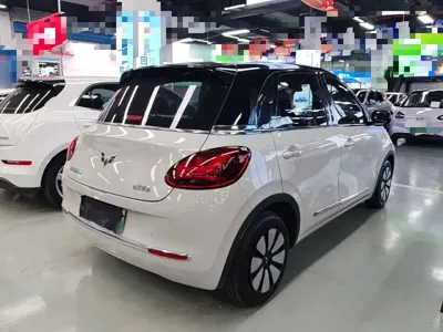 Wuling Bingo