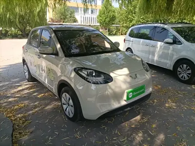 Wuling Bingo