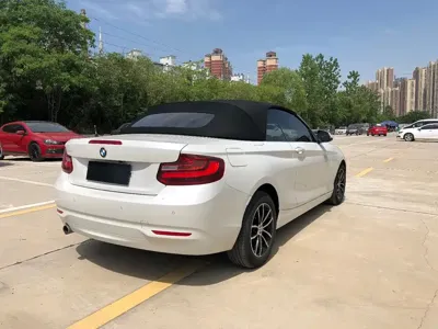 BMW 2 Series (Import)