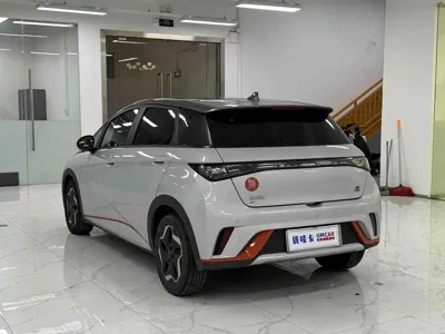BYD Dolphin
