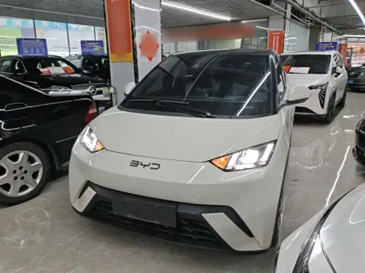 BYD Seagull