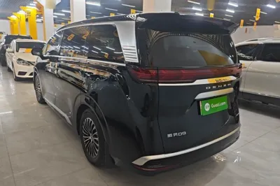 Denza D9