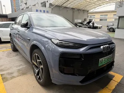 Audi 奥迪Q6L e-tron