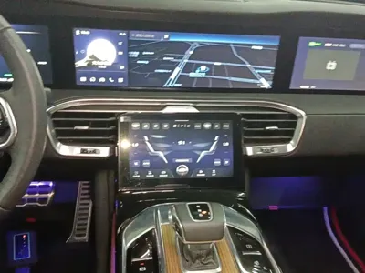Hongqi Hongqi E-HS9